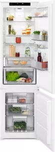 Холодильник Electrolux RNS9TE19S фото