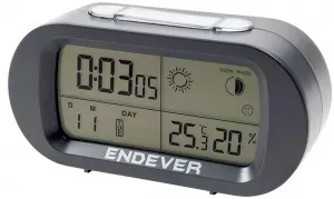 Электронные часы Endever Realtime-31 фото