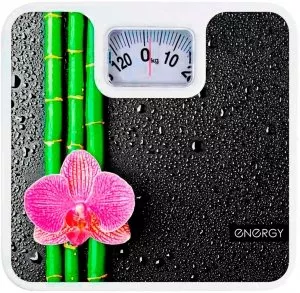 Напольные весы Energy ENM-409D фото