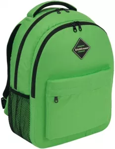 Школьный рюкзак Erich Krause EasyLine 20L Neon Green 48615 фото