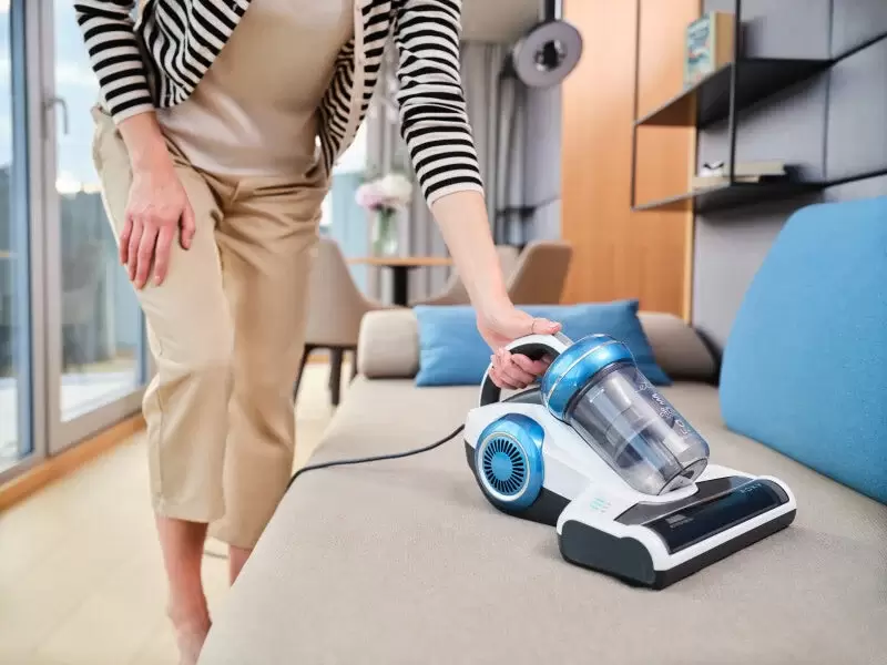 Пылесос для удаления пылевых клещей ETA Roxy Roxy 5215 90000 фото