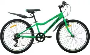 Велосипед Favorit FOX 24 V 2020 (зеленый) фото