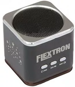 Портативная акустика Flextron F-CPAS-322B1 фото