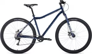 Велосипед Forward Sporting 29 X р.19 2020 (синий) icon