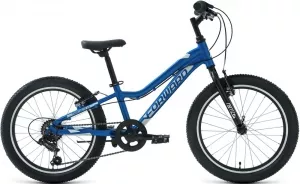 Детский велосипед Forward Twister 20 1.0 2021 (синий) фото
