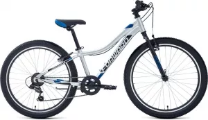 Велосипед Forward Twister 24 1.0 2021 (серый) icon