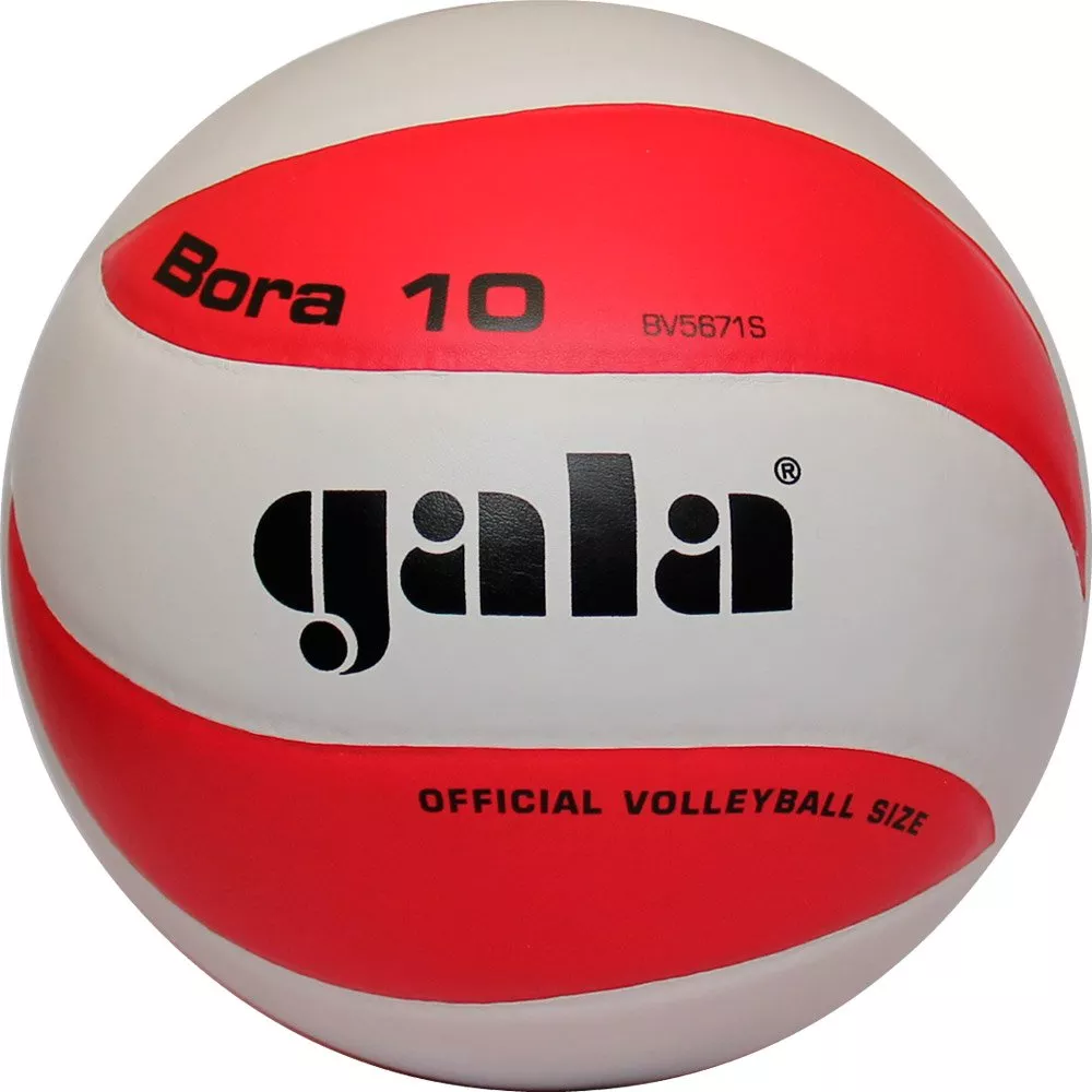 Мяч волейбольный GALA Bora 10 BV5671S фото