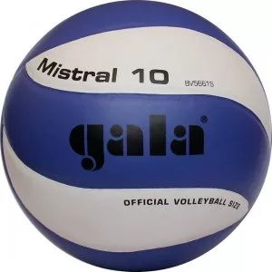 Мяч волейбольный GALA Mistral 10 BV5661S фото