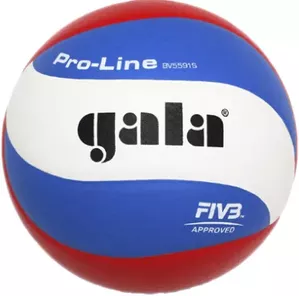 Волейбольный мяч Gala Pro Line BV5591S (5 размер) фото