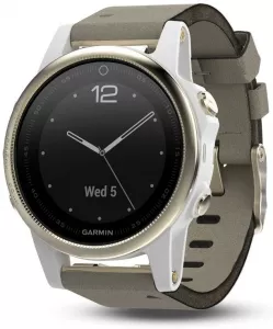 Умные часы Garmin Fenix 5S Sapphire 42mm (010-01685-13) фото