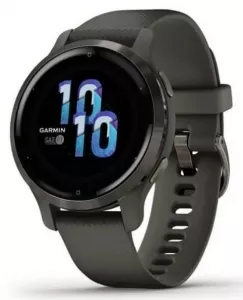 Умные часы Garmin Venu 2S (сланцевая нержавеющая сталь/черный) фото