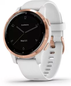 Умные часы Garmin Vivoactive 4s (белый/золотистый) фото