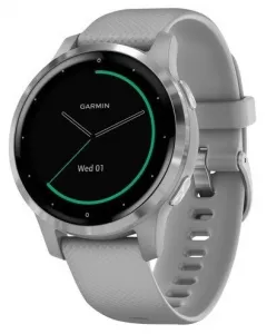 Умные часы Garmin Vivoactive 4s (серый/серебристый) фото