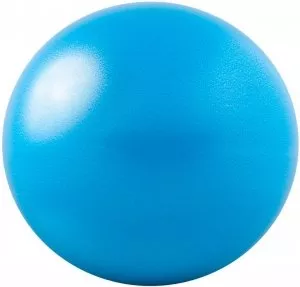 Мяч гимнастический Go Fit GF-20BALL фото