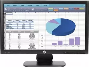 Монитор HP ProDisplay P202 фото