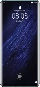 Huawei P30 Pro 8Gb/256Gb Blue (VOG-L29) фото
