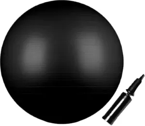 Гимнастический мяч Indigo Anti-Burst IN002 65 см (черный) фото