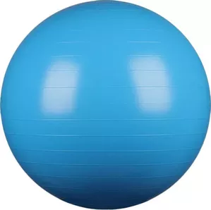 Гимнастический мяч Indigo IN001 55 см (голубой) фото