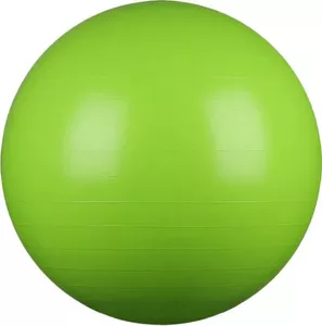 Гимнастический мяч Indigo IN001 55 см (зеленый) фото
