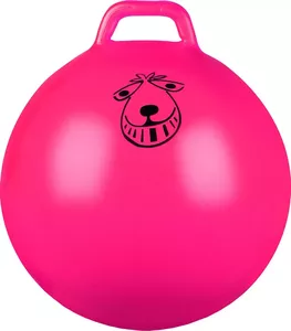 Гимнастический мяч Indigo IN093 45 см (розовый) фото
