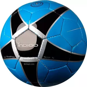 Футбольный мяч Indigo Scorpion D04 (5 размер) фото