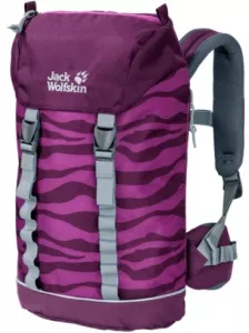 Рюкзак Jack Wolfskin Jungle Gym Pack butterfly фото