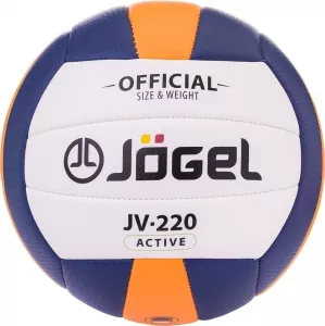 Мяч волейбольный Jogel JV-220 фото