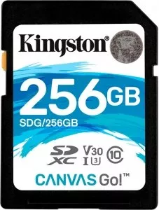 Карта памяти Kingston Canvas Go! SDXC 256Gb (SDG/256GB) фото
