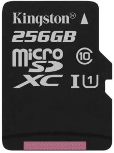 Карта памяти Kingston Canvas Select microSDXC 256Gb (SDCS/256GBSP) фото