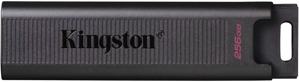 USB Flash Kingston DataTraveler Max Type-C 256GB фото