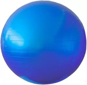Мяч гимнастический Leco 100 см фото