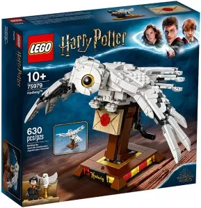 Конструктор LEGO Harry Potter 75979 Букля фото