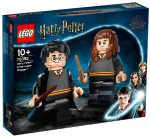 Конструктор LEGO Harry Potter 76393 Гарри Поттер и Гермиона Грейнджер фото