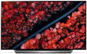 Телевизор LG OLED77C9PLA фото