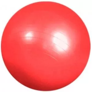 Мяч гимнастический Libera 6005-40 фото