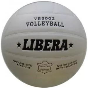 Мяч волейбольный LIBERA VB3002 фото