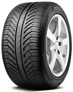 Всесезонная шина Michelin Pilot Sport A/S Plus 255/40R20 101V фото