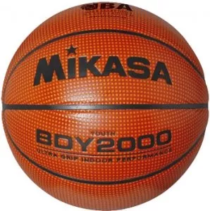 Мяч баскетбольный Mikasa BDY2000 фото