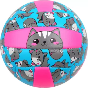 Волейбольный мяч Onlitop Кошечка 4166907 (2 размер) фото