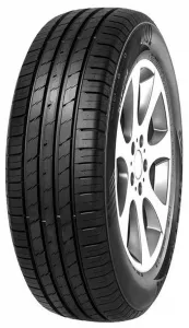 Летняя шина Minerva EcoSpeed 2 SUV 215/60R17 100V фото