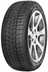 Зимняя шина Minerva Frostrack UHP 205/55R16 91H фото