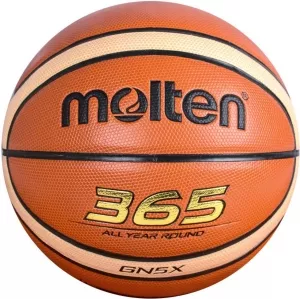 Мяч баскетбольный Molten BGN5X фото