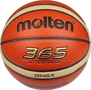 Мяч баскетбольный Molten BGN6X фото