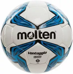 Мяч футбольный Molten F5V1700 фото