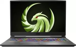 Ноутбук MSI Alpha 17 A4DEK-021US фото