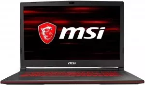 Ноутбук MSI GL73 8RD-245XRU фото