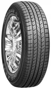 Летняя шина Nexen Roadian 541 225/75R16 104H фото