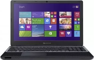 Ноутбук Packard Bell EasyNote TE69BM-29204G50Mnsk (NX.C39ES.010) фото