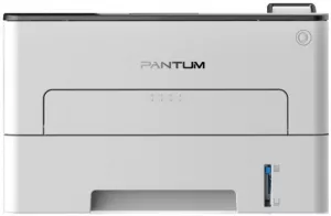 Лазерный принтер Pantum P3010DW фото
