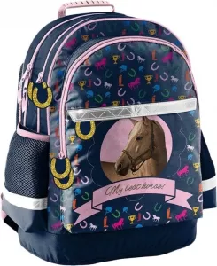 Школьный рюкзак Paso Horse PPKM18-116 фото